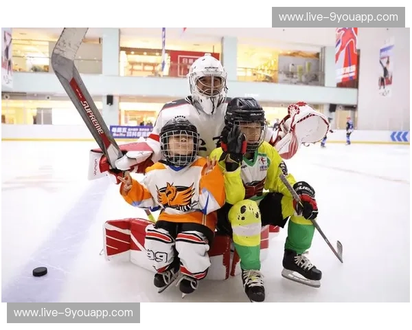 冰球分析师：穿透冰面的洞察力，让胜负有迹可循